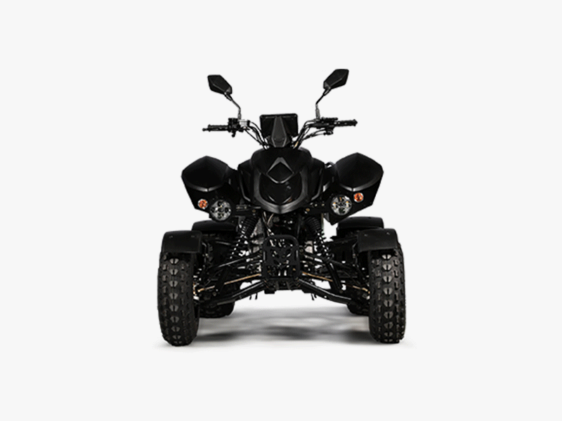 Access Xtreme Enduro SP450EFI